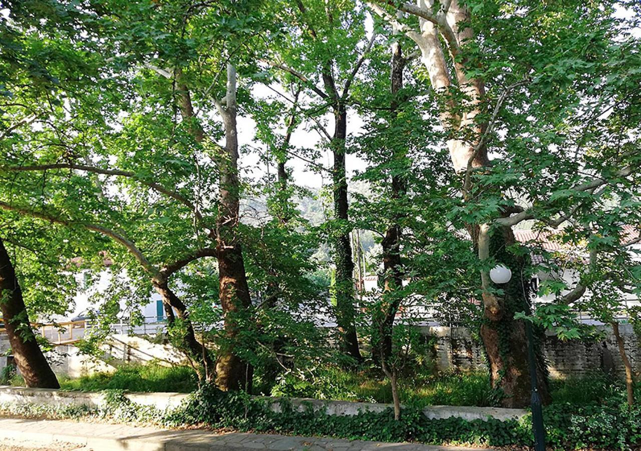 הוילה Polikarpi "The Plane Trees" מראה חיצוני תמונה