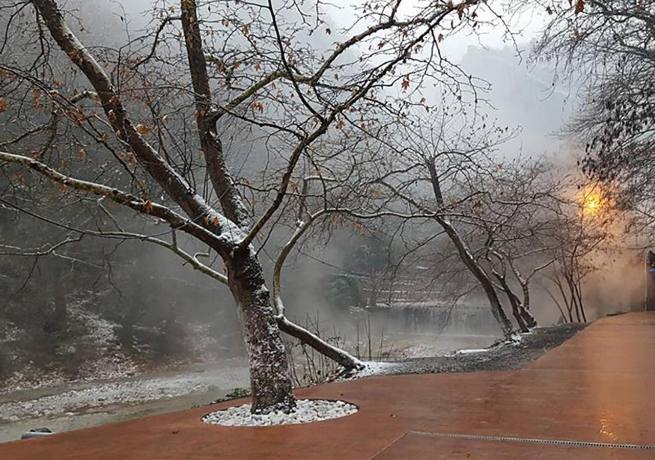 הוילה Polikarpi "The Plane Trees" מראה חיצוני תמונה